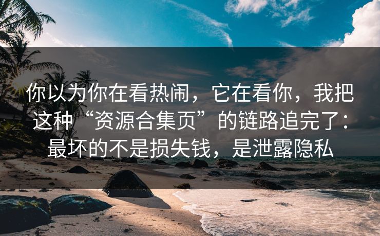 你以为你在看热闹，它在看你，我把这种“资源合集页”的链路追完了：最坏的不是损失钱，是泄露隐私