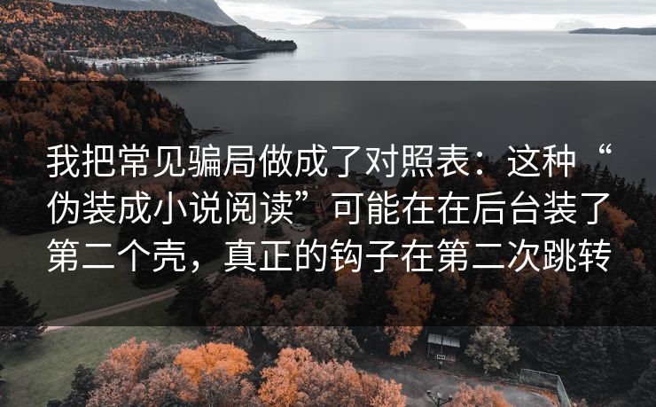 我把常见骗局做成了对照表：这种“伪装成小说阅读”可能在在后台装了第二个壳，真正的钩子在第二次跳转