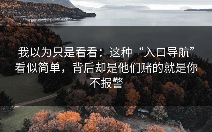 我以为只是看看：这种“入口导航”看似简单，背后却是他们赌的就是你不报警