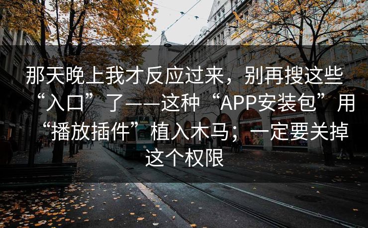 那天晚上我才反应过来，别再搜这些“入口”了——这种“APP安装包”用“播放插件”植入木马；一定要关掉这个权限