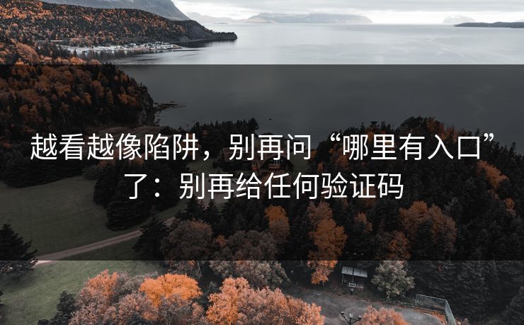 越看越像陷阱，别再问“哪里有入口”了：别再给任何验证码